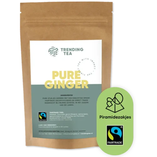 TrendingTea Pure Ginger piramidezakjes 100st
